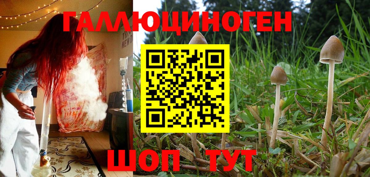 Псилоцибиновые грибы Psilocybine cubensis  Вход с VPN  Ангарск 