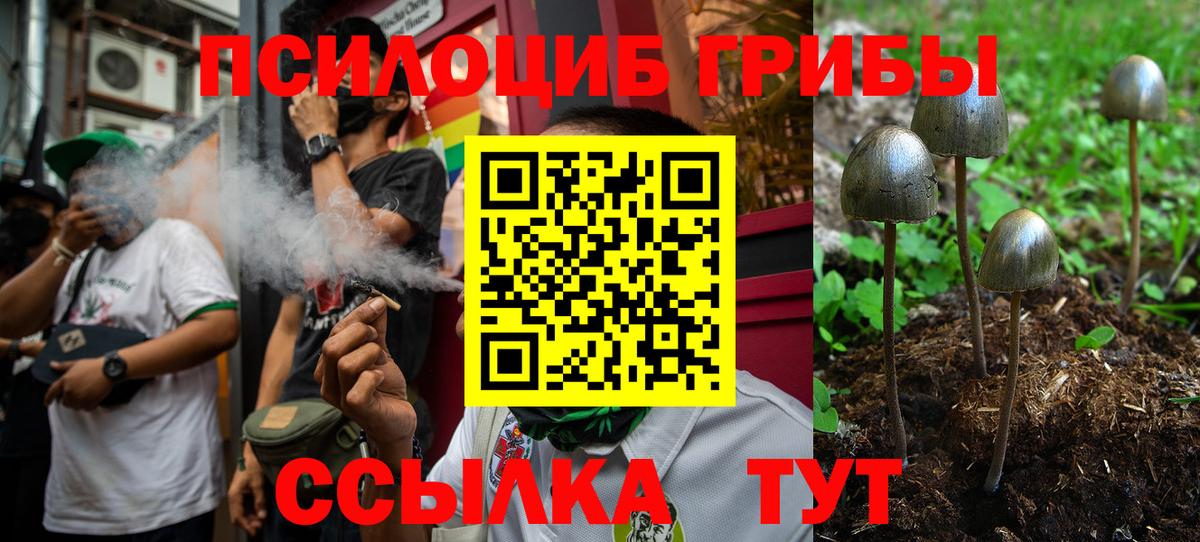 Галлюциногенные грибы Magic Shrooms Ангарск